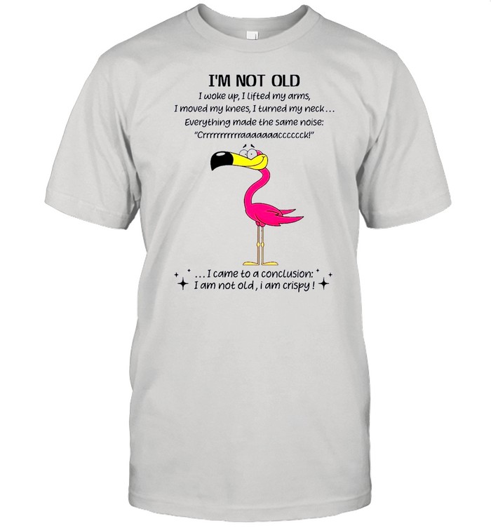 Flamingo Im not old I came to a conclusion shirt Classic Men's T-shirt