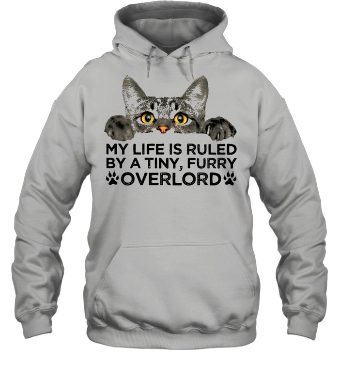 Cat Ruled By Overlord For Cat Lover  Unisex Hoodie