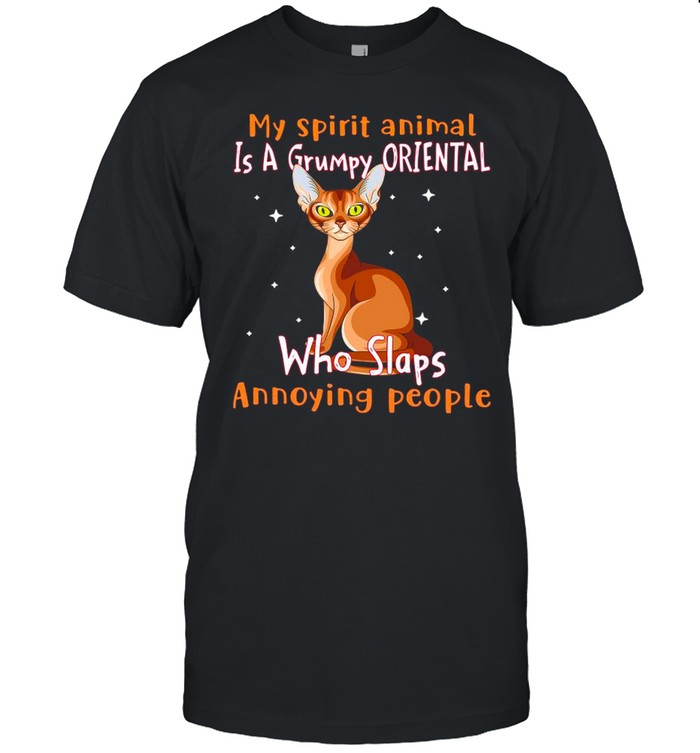 My Spirit Animal Is A Oriental Who Slaps Annoying People shirt Classic Men's T-shirt