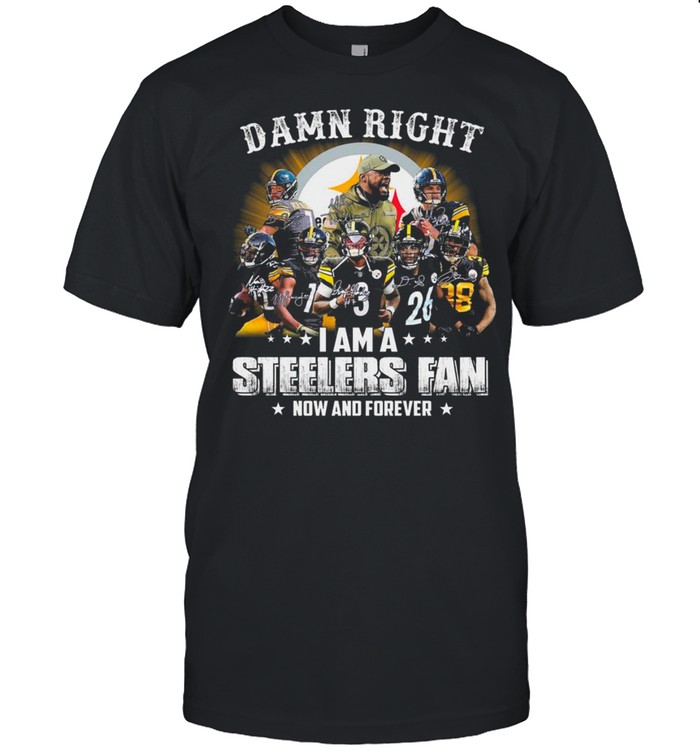Pittsburgh Steelers Baseball Teams Damn Right I Am A Steelers Signature Fan Now And Forever shirt Classic Men's T-shirt