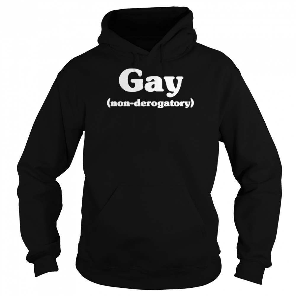 Gay non-derogatory shirt Unisex Hoodie