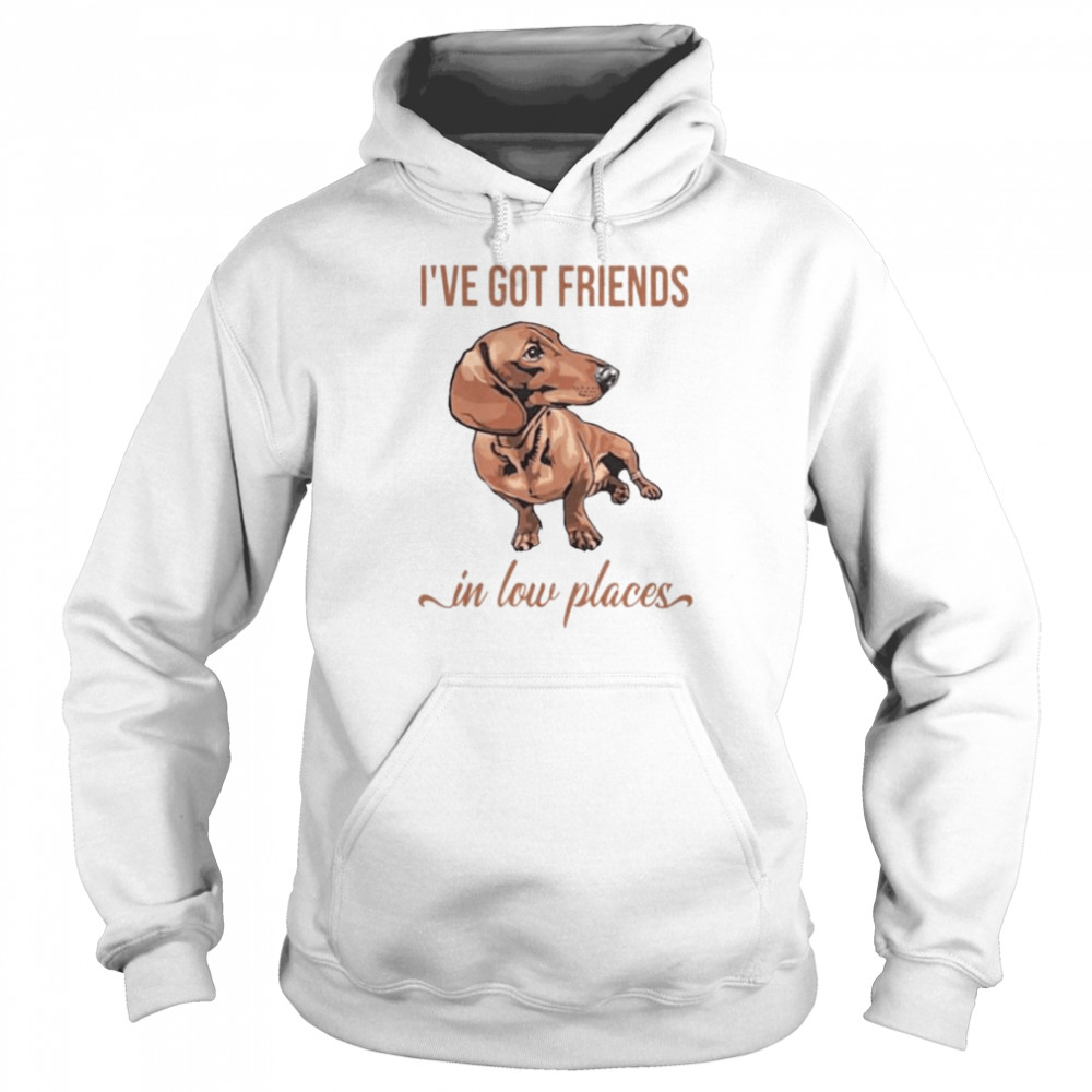 I’ve got friends in low place shirt Unisex Hoodie